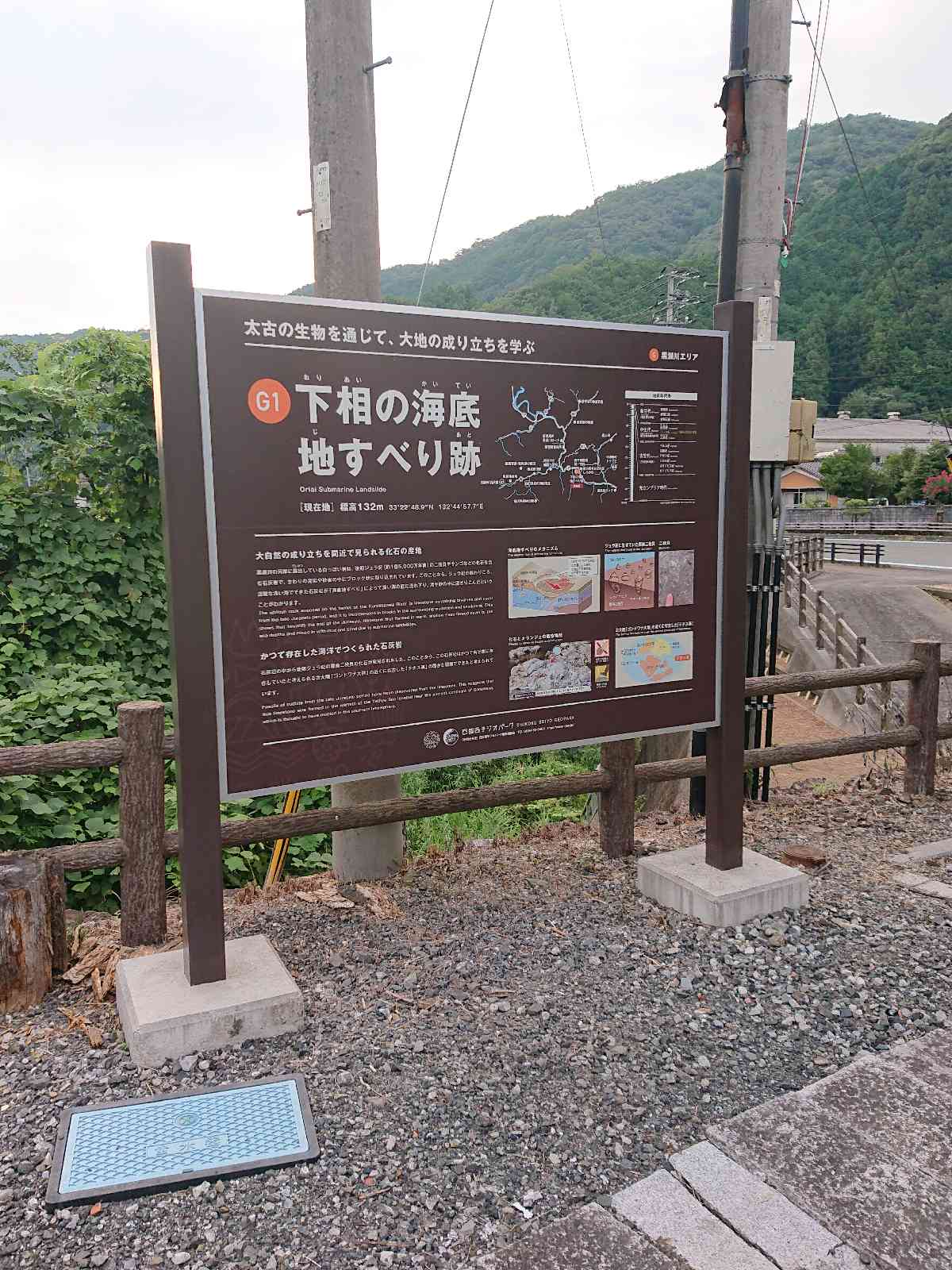 投稿された画像