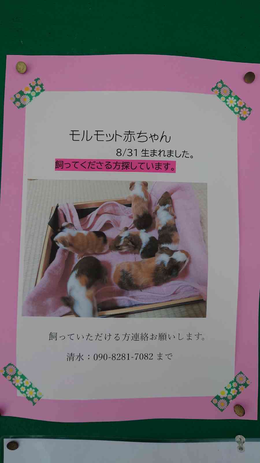 道の駅 きなはい屋しろかわの写真