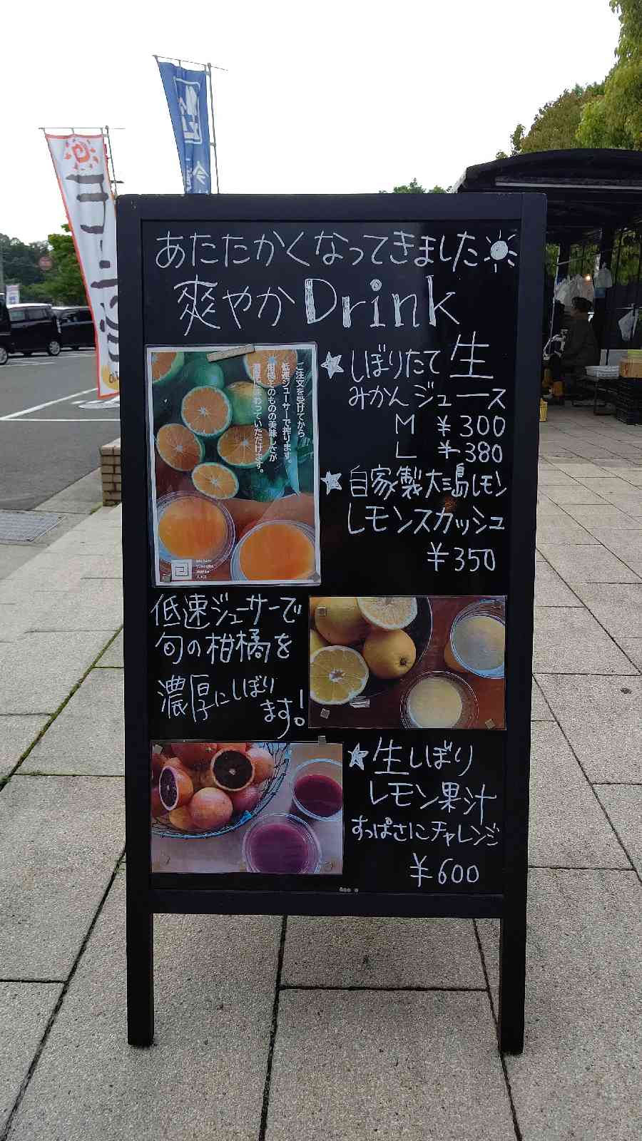 投稿された画像