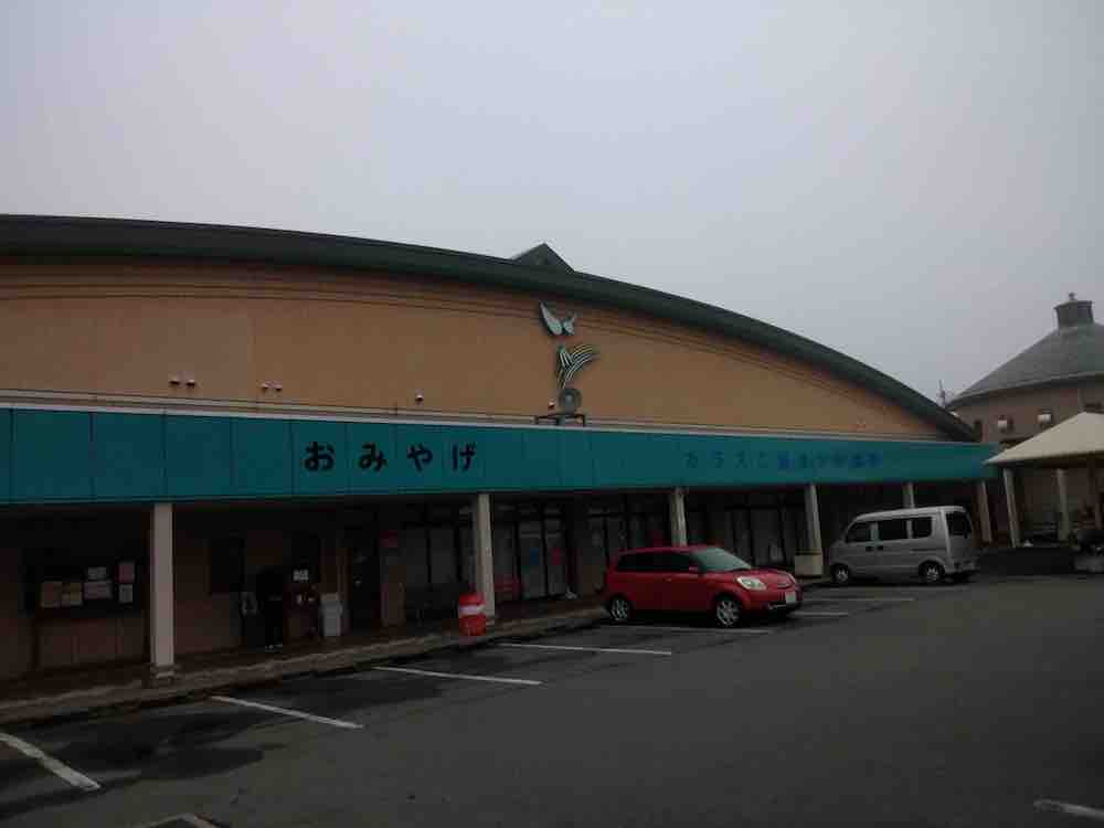 投稿された画像