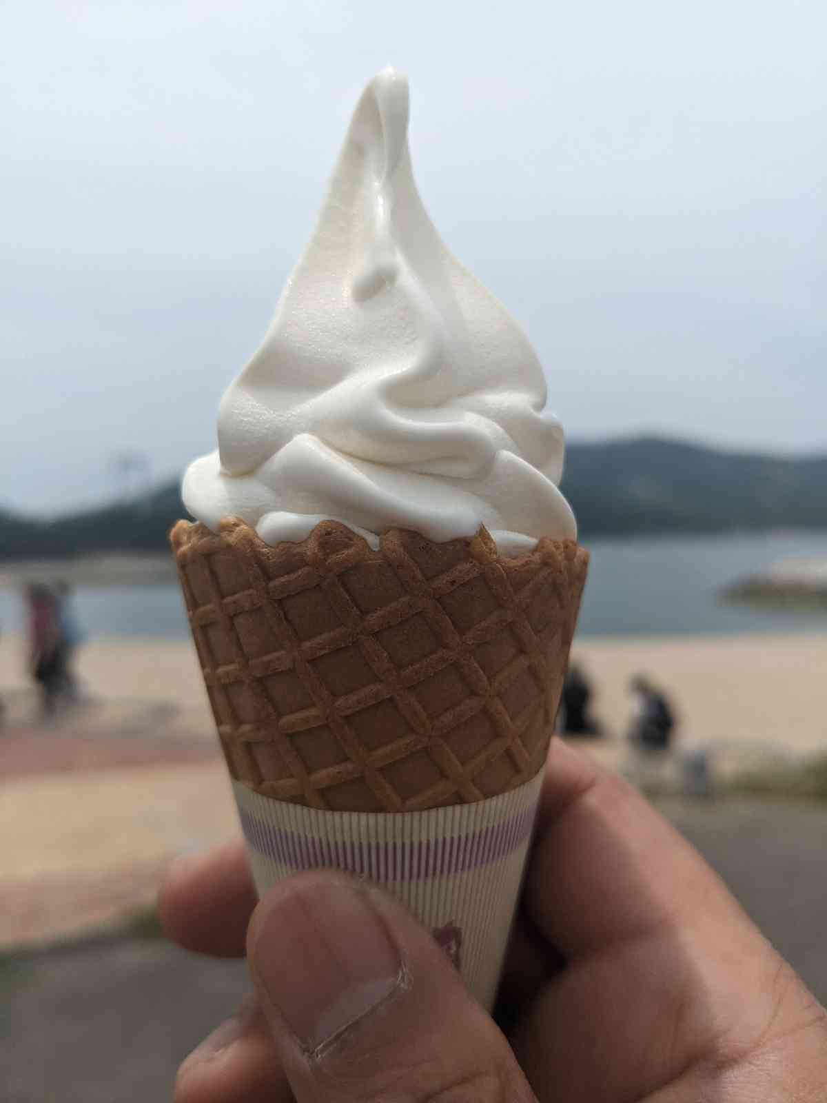 投稿された画像