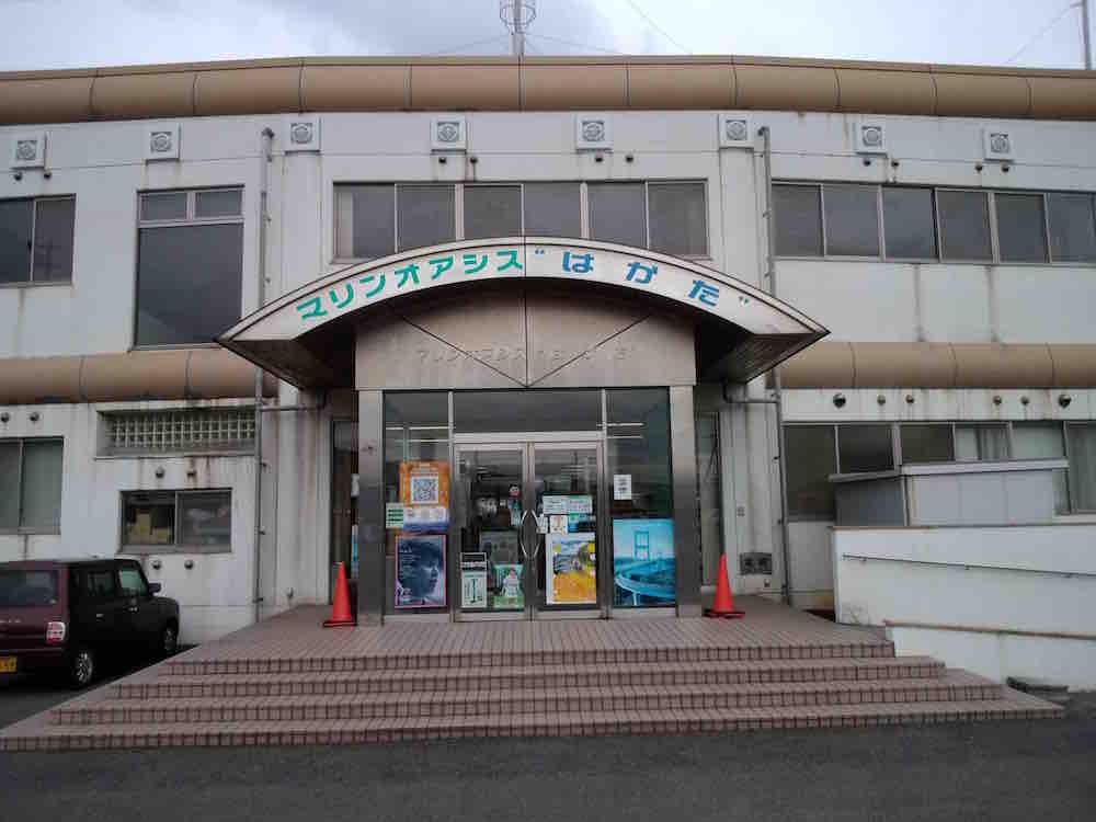 投稿された画像