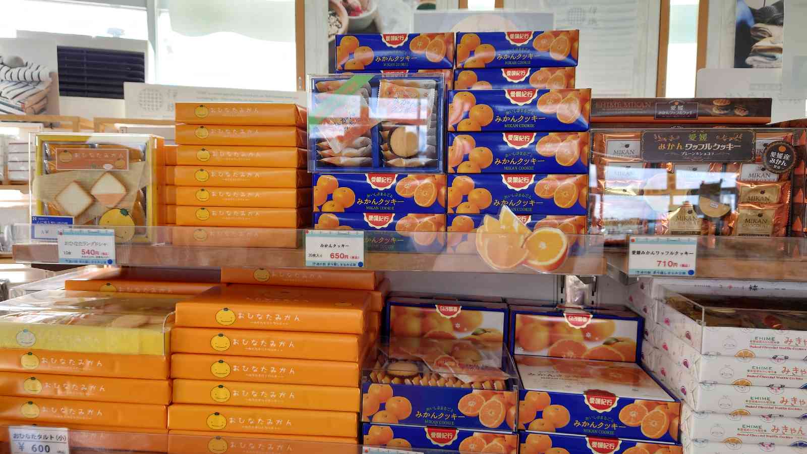 投稿された画像