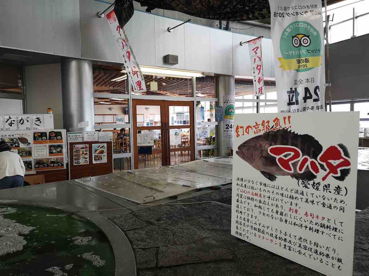 投稿された画像