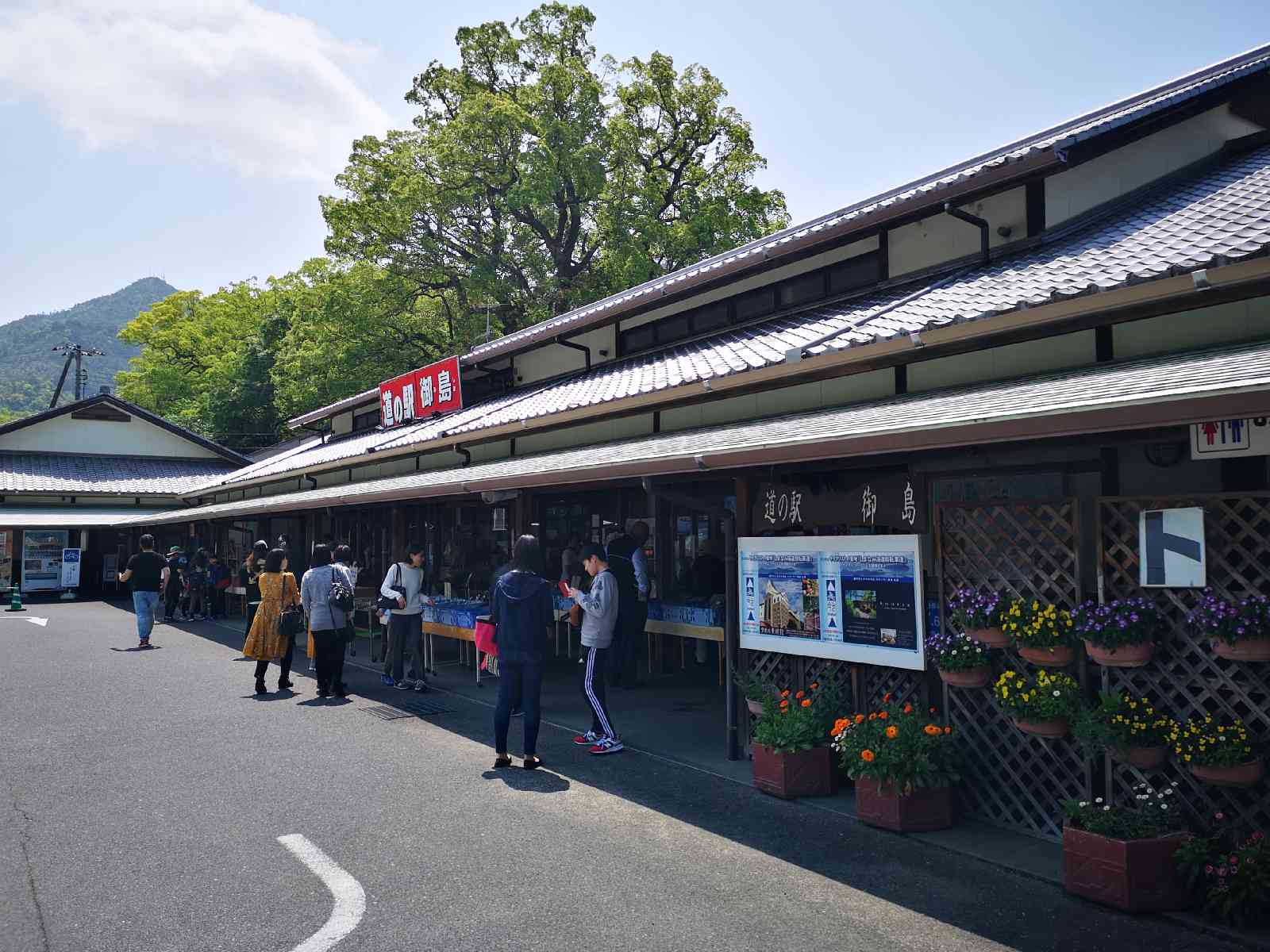 投稿された画像