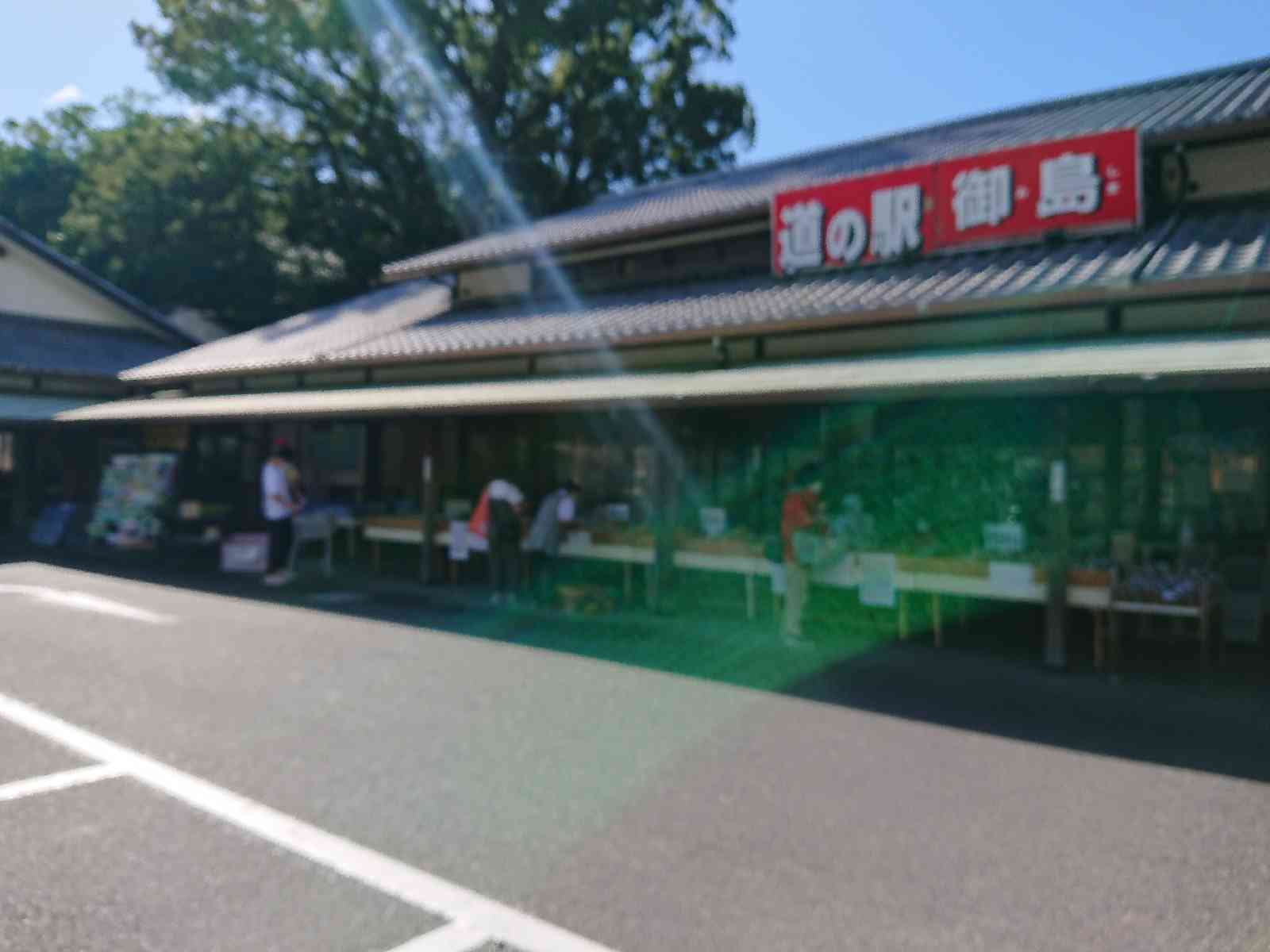 投稿された画像