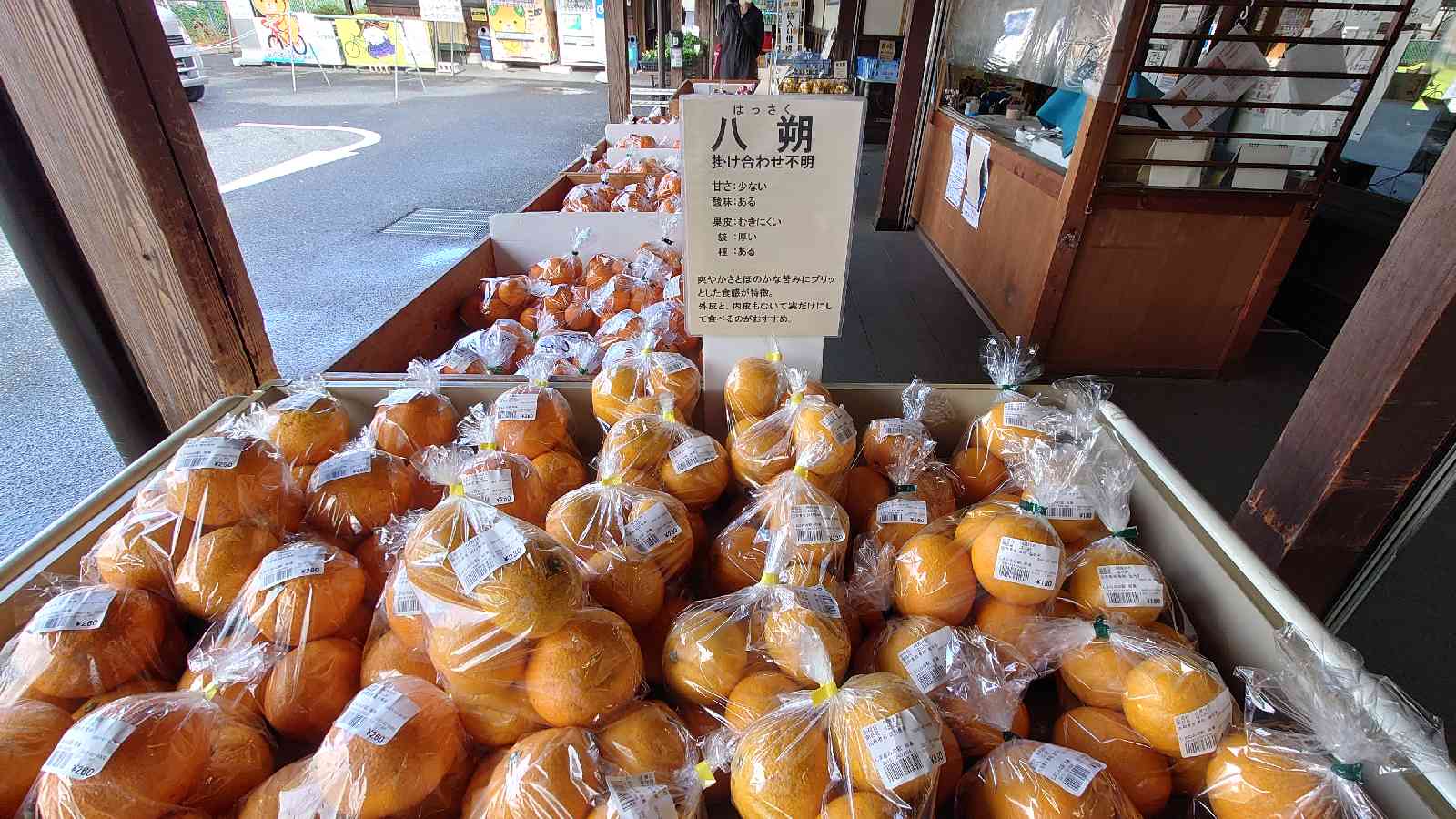 投稿された画像