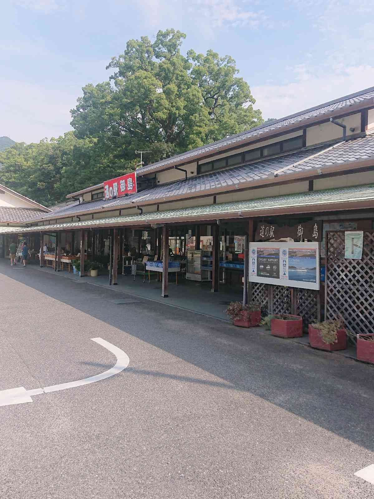 投稿された画像