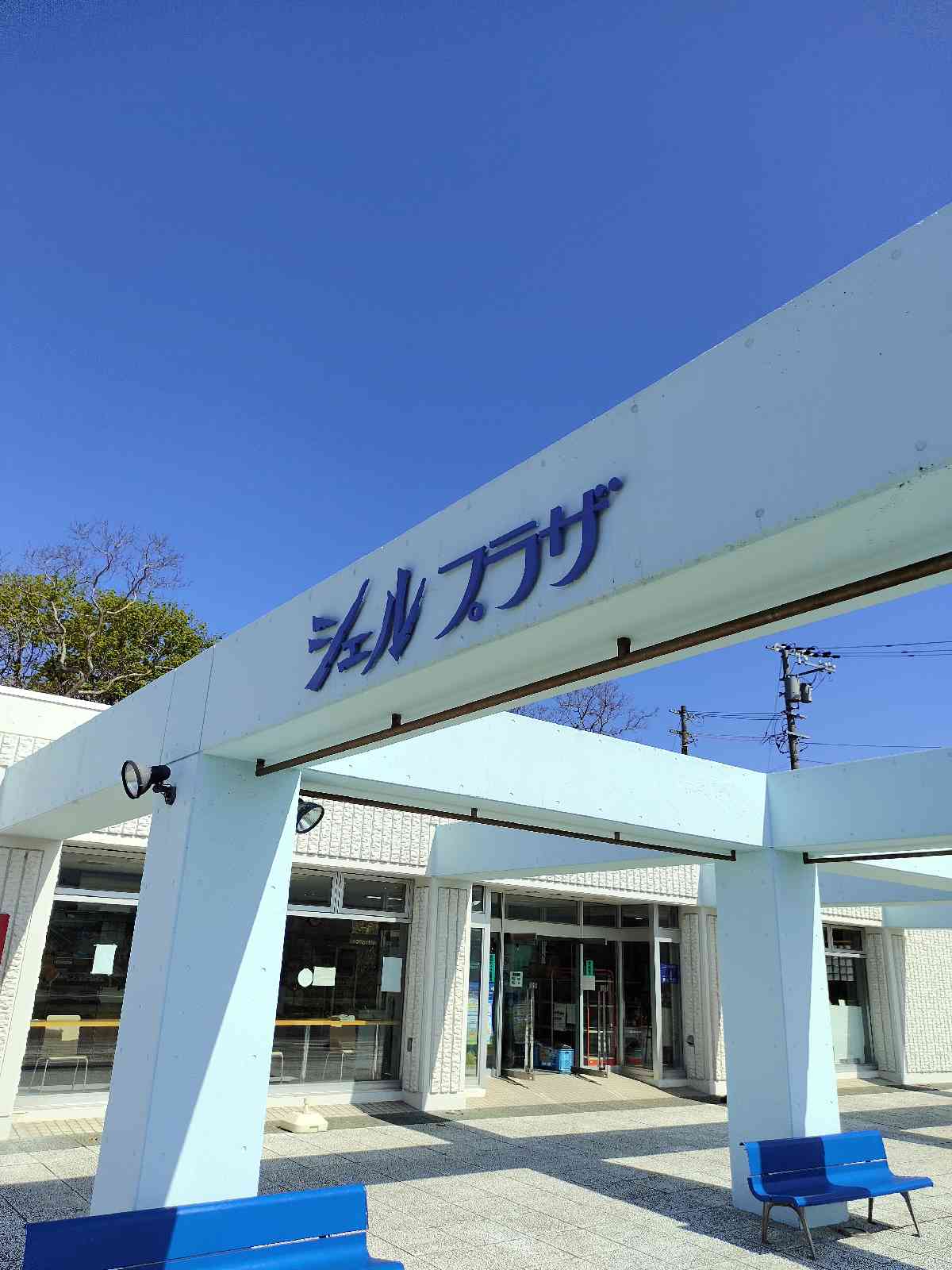 投稿された画像