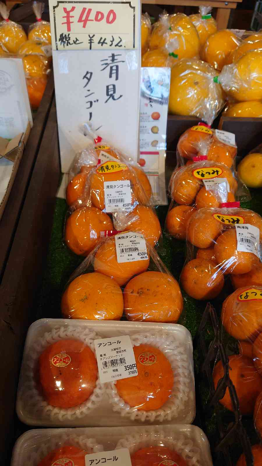 投稿された画像