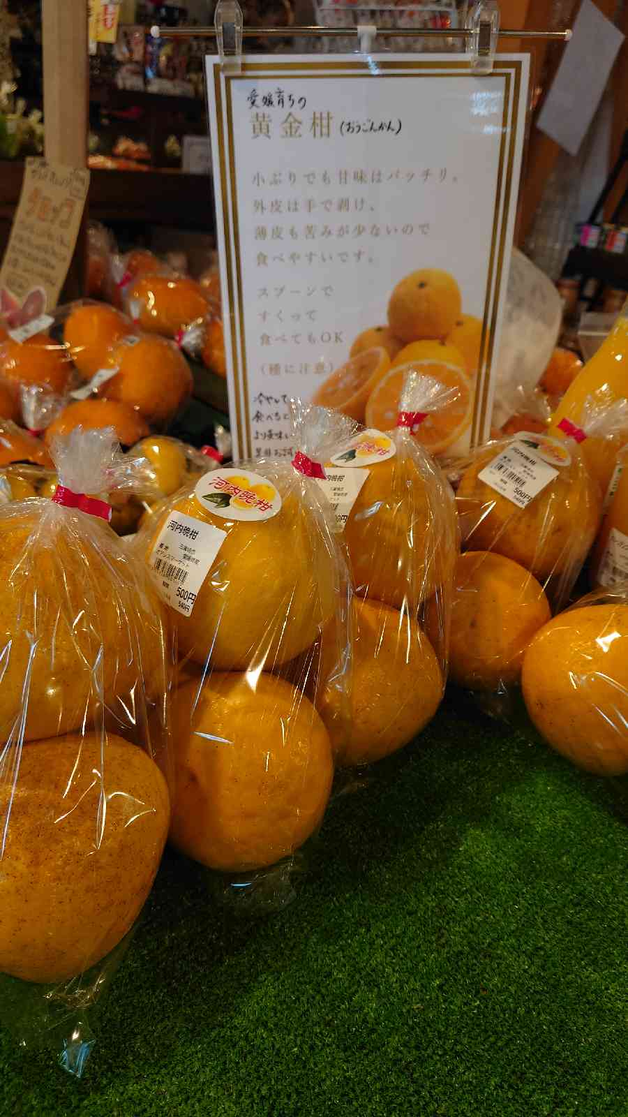 投稿された画像