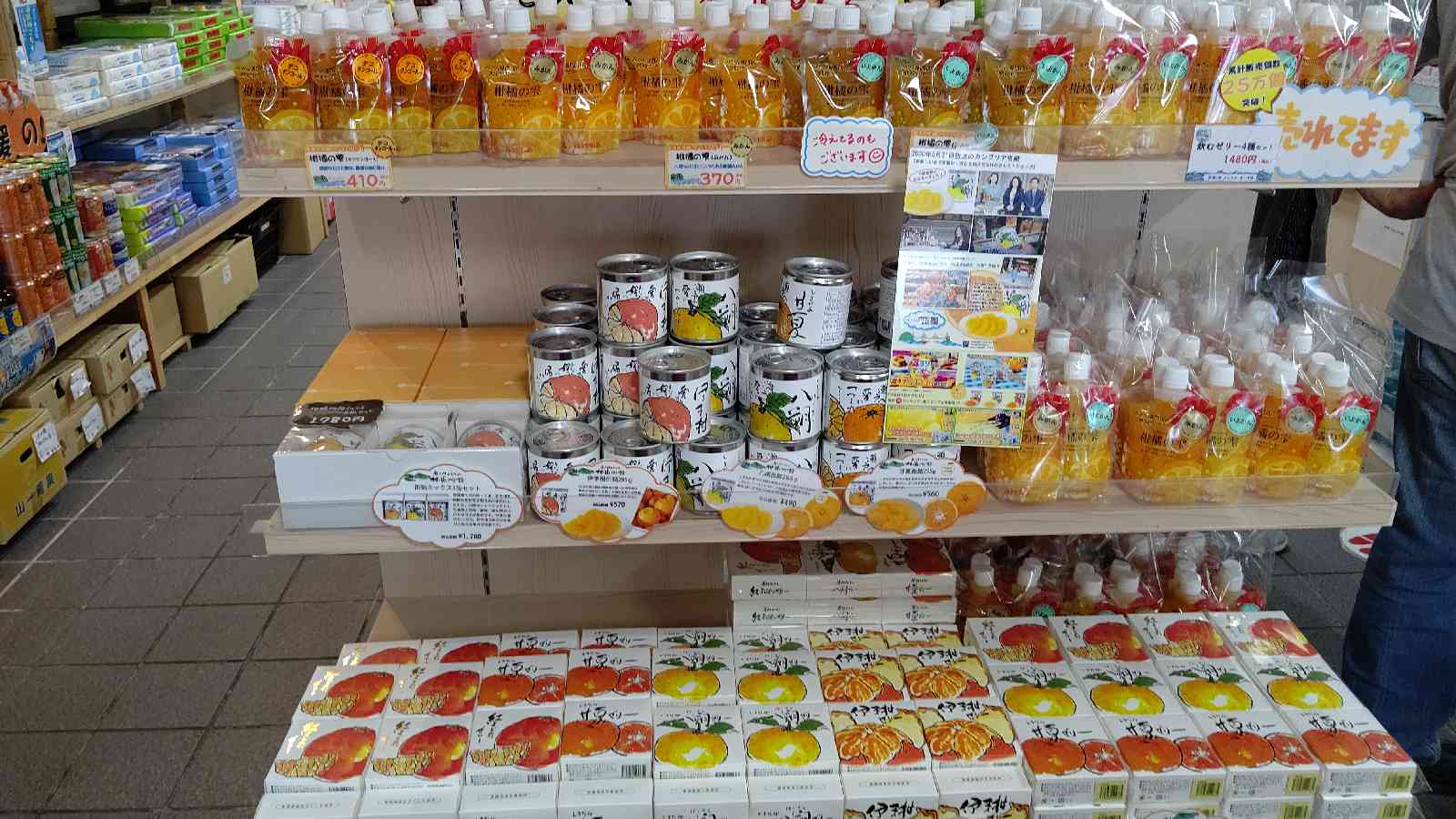 投稿された画像