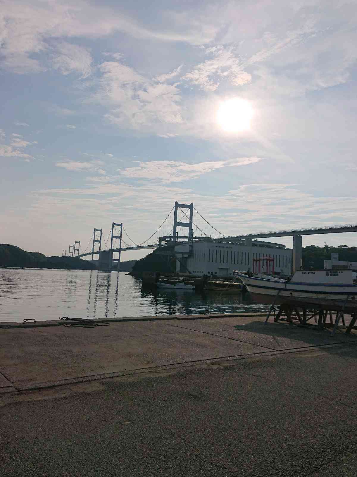 投稿された画像