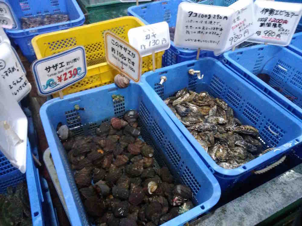 投稿された画像