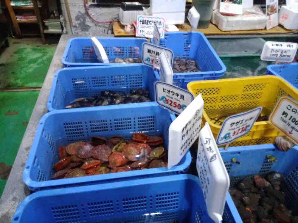 投稿された画像