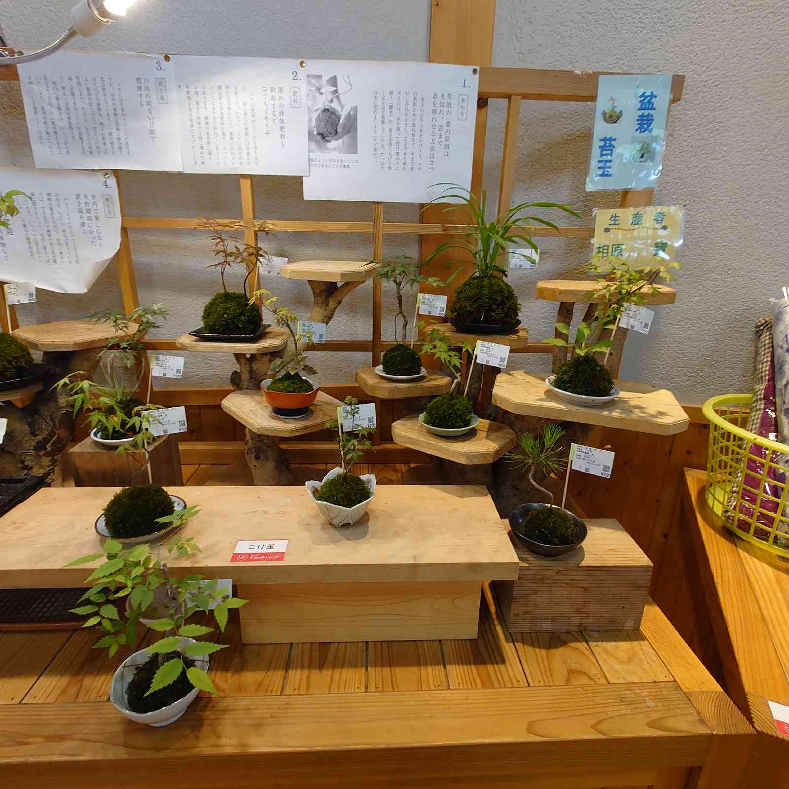 投稿された画像
