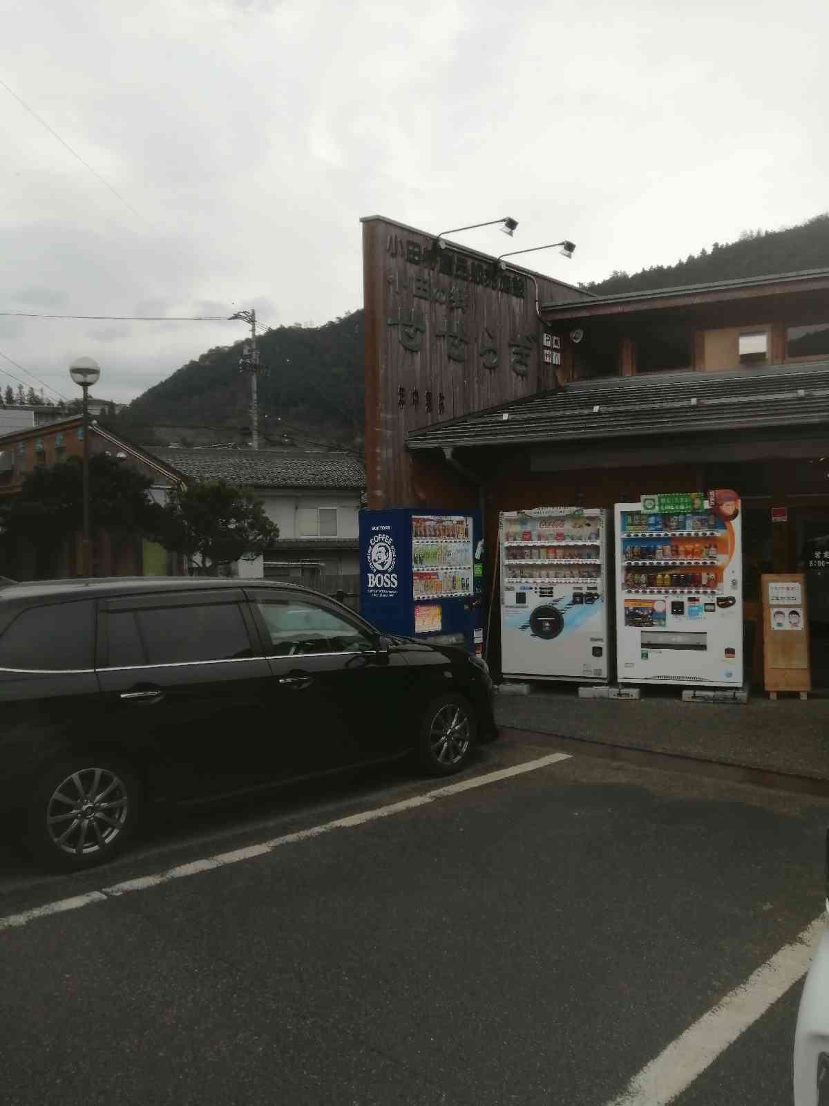 投稿された画像