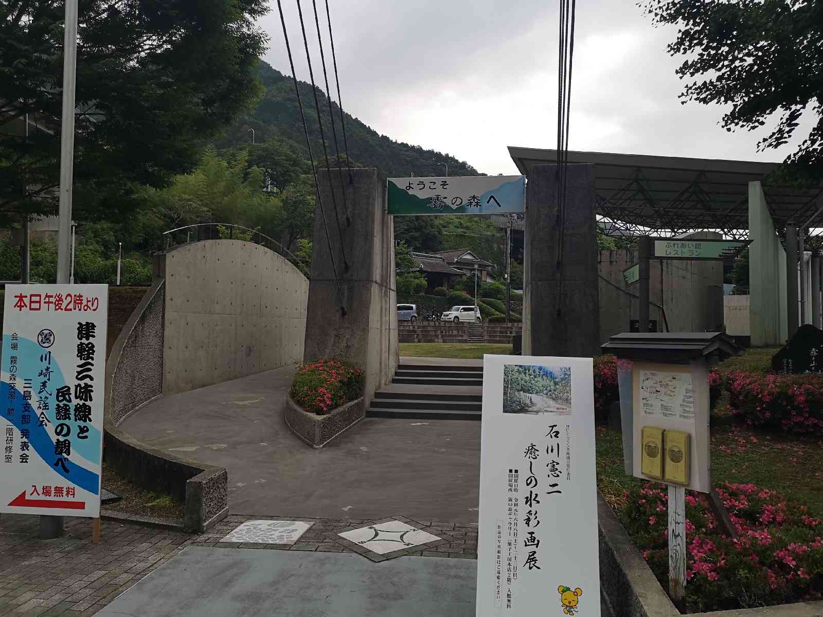 投稿された画像