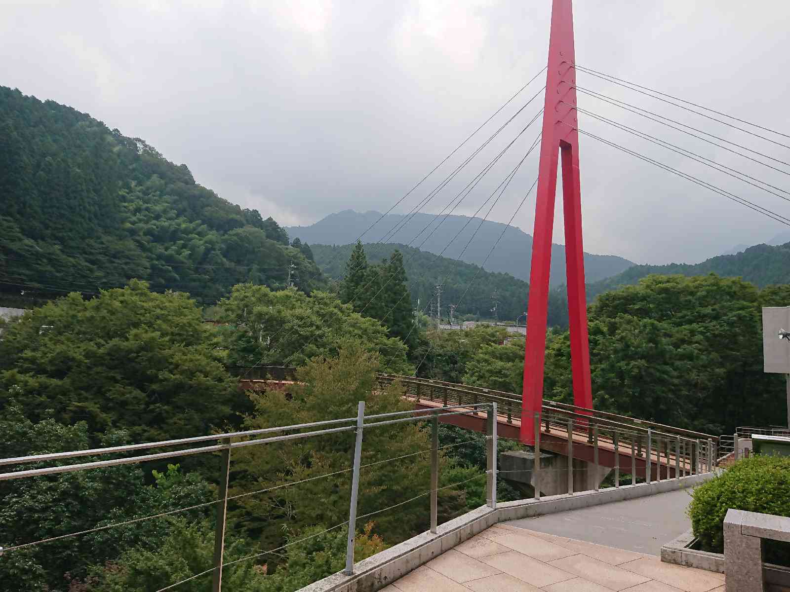 投稿された画像