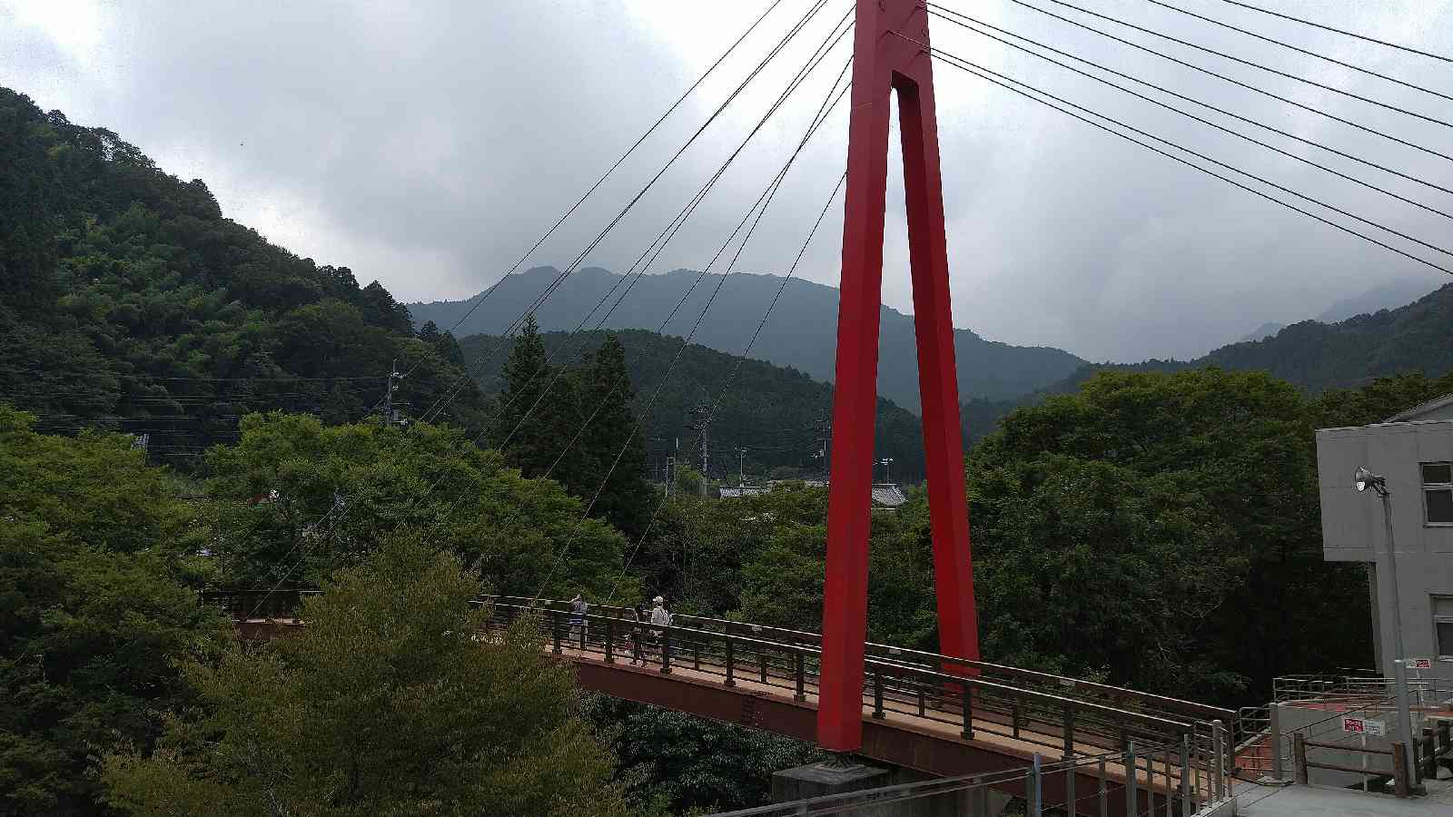 投稿された画像