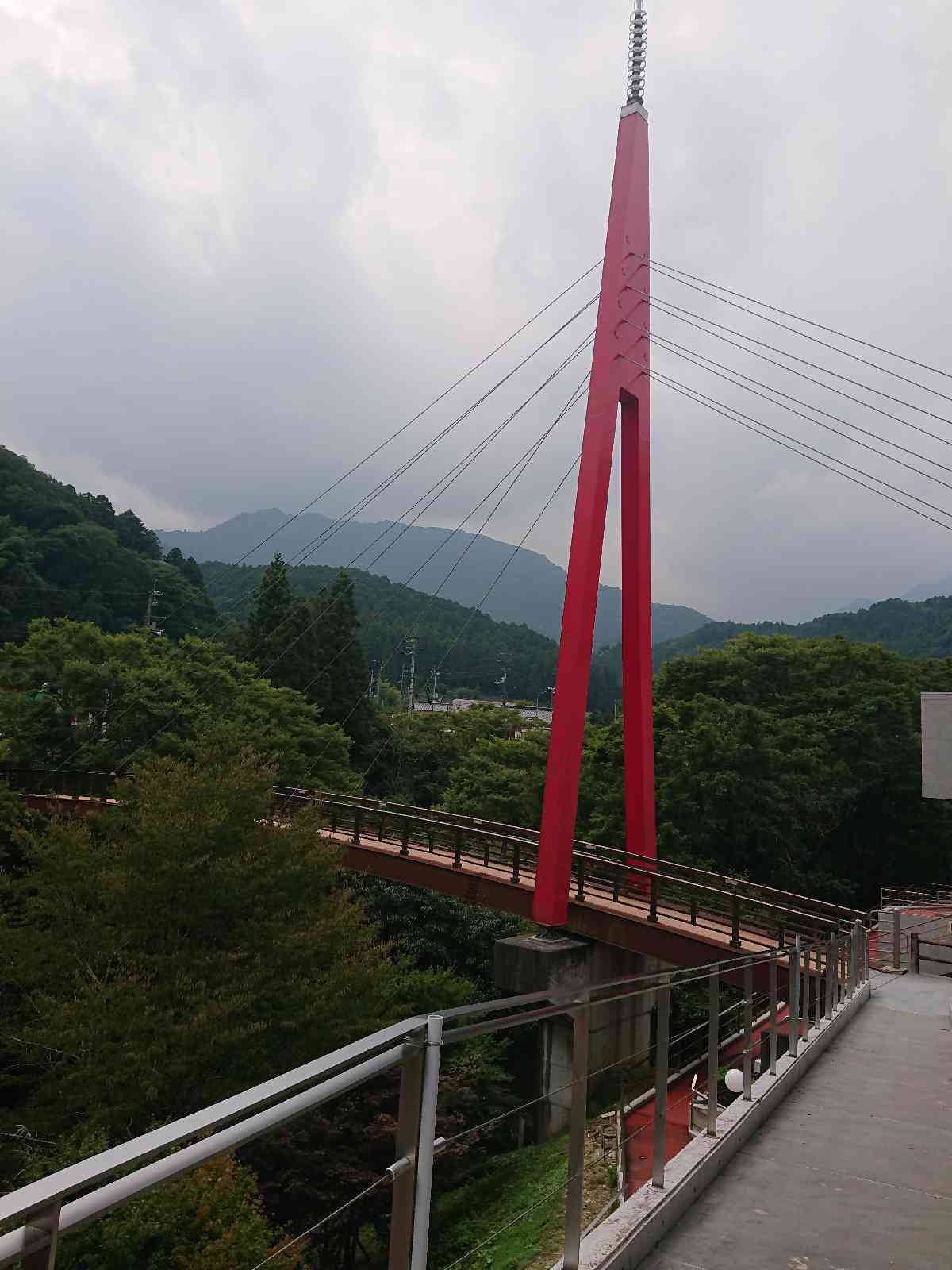 投稿された画像