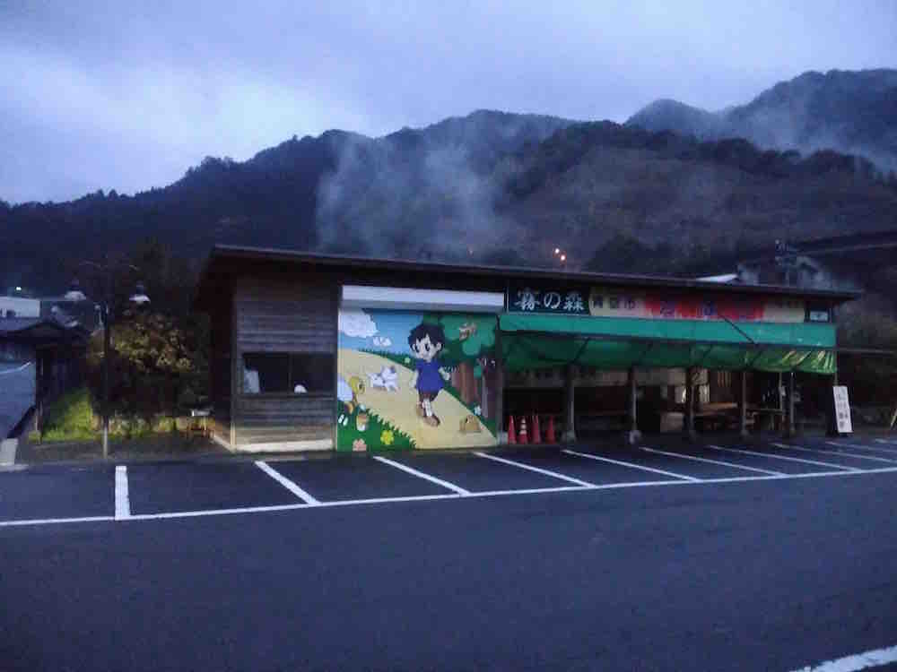 投稿された画像