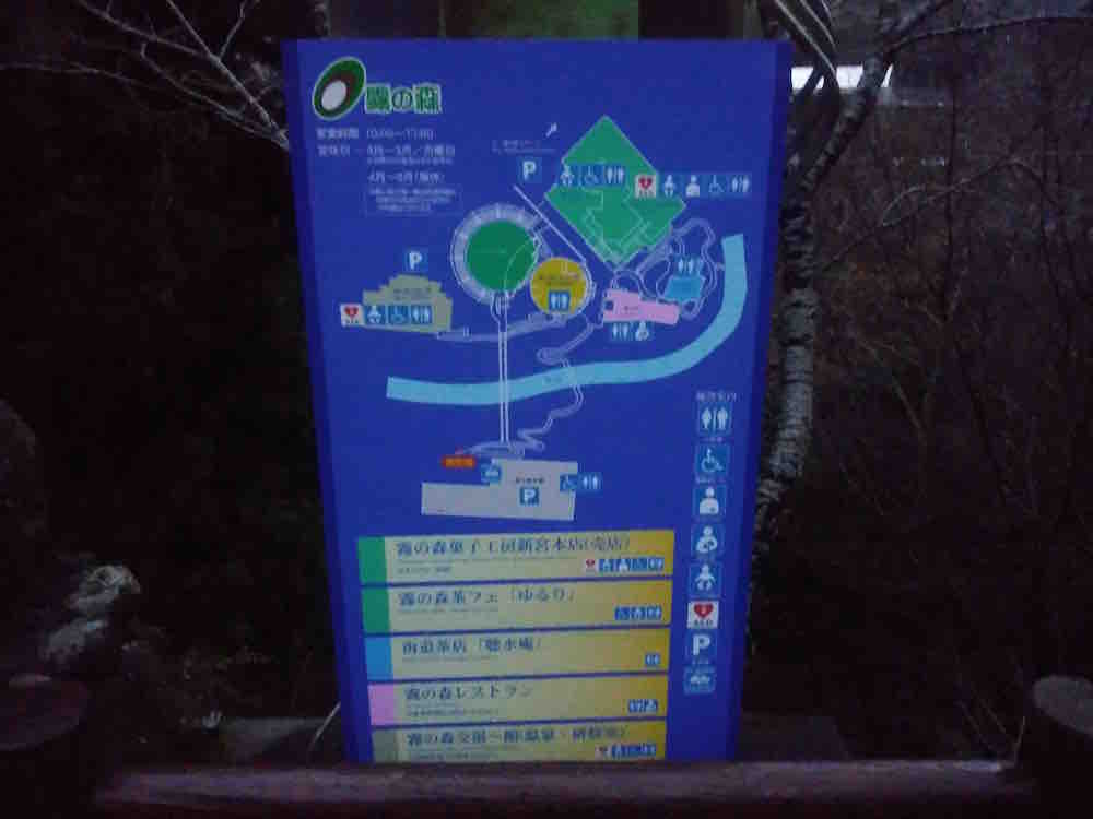 投稿された画像