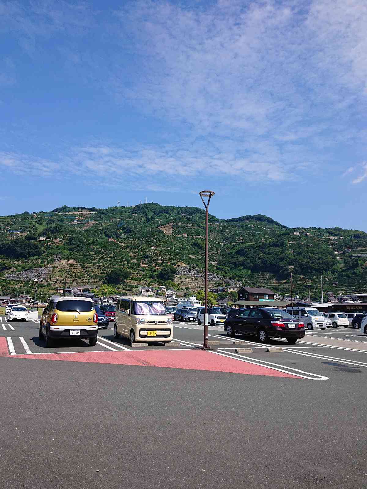 投稿された画像