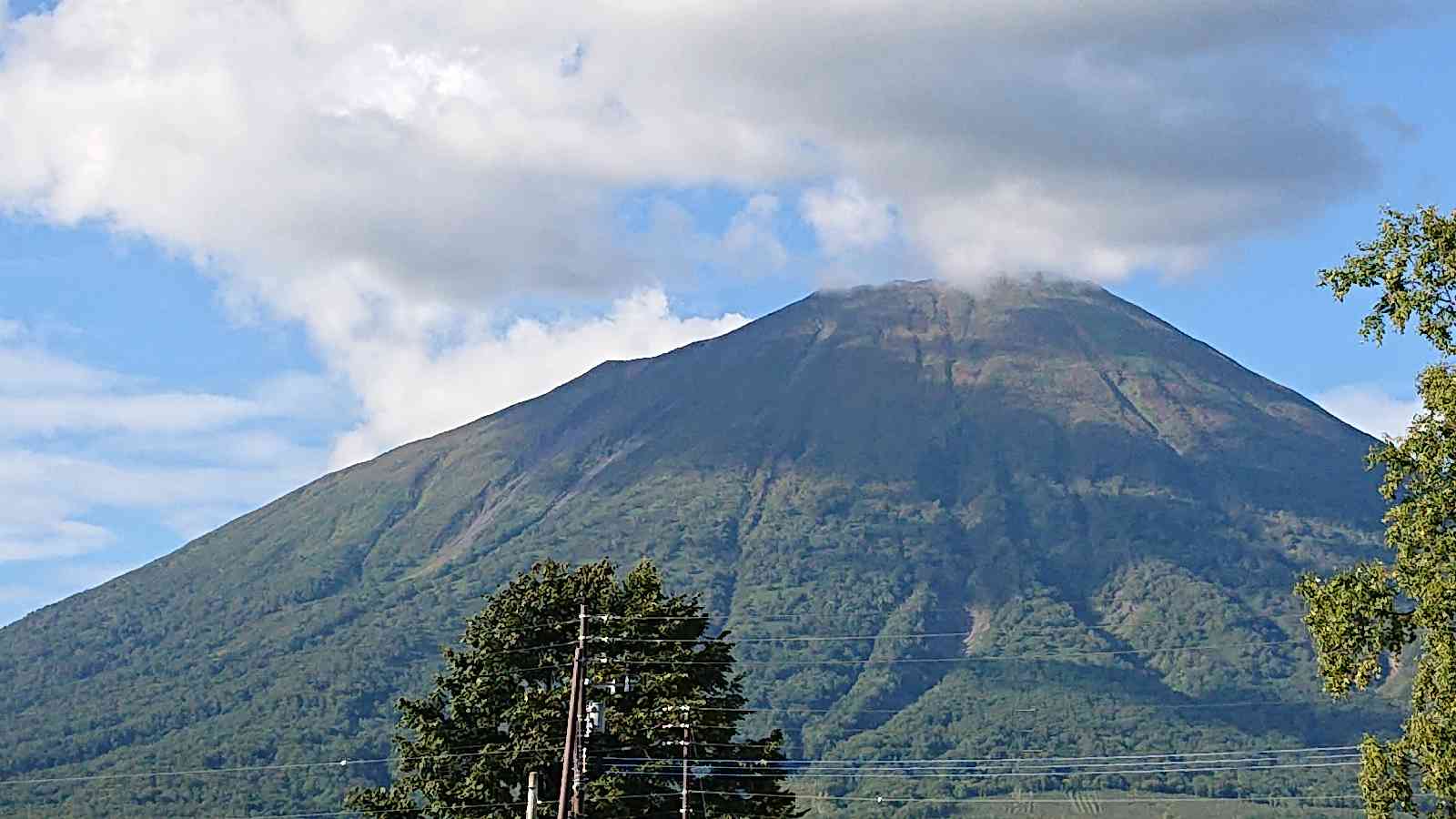 投稿された画像