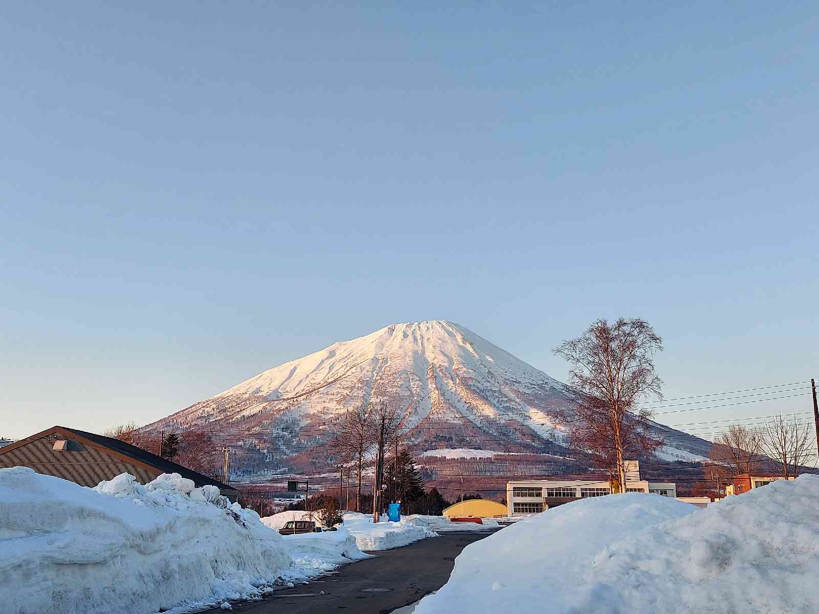 道の駅 真狩フラワーセンターの写真