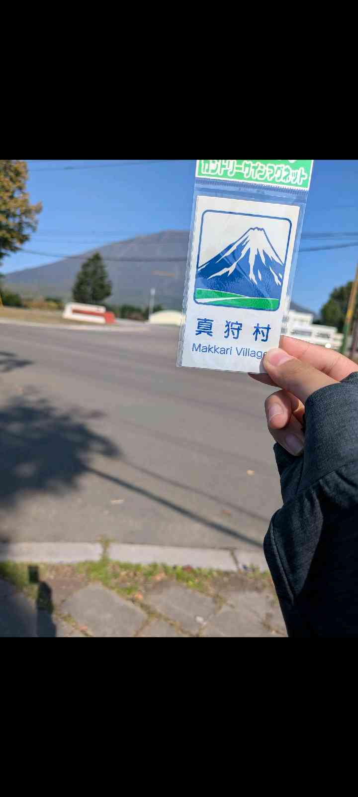 道の駅 真狩フラワーセンターの写真