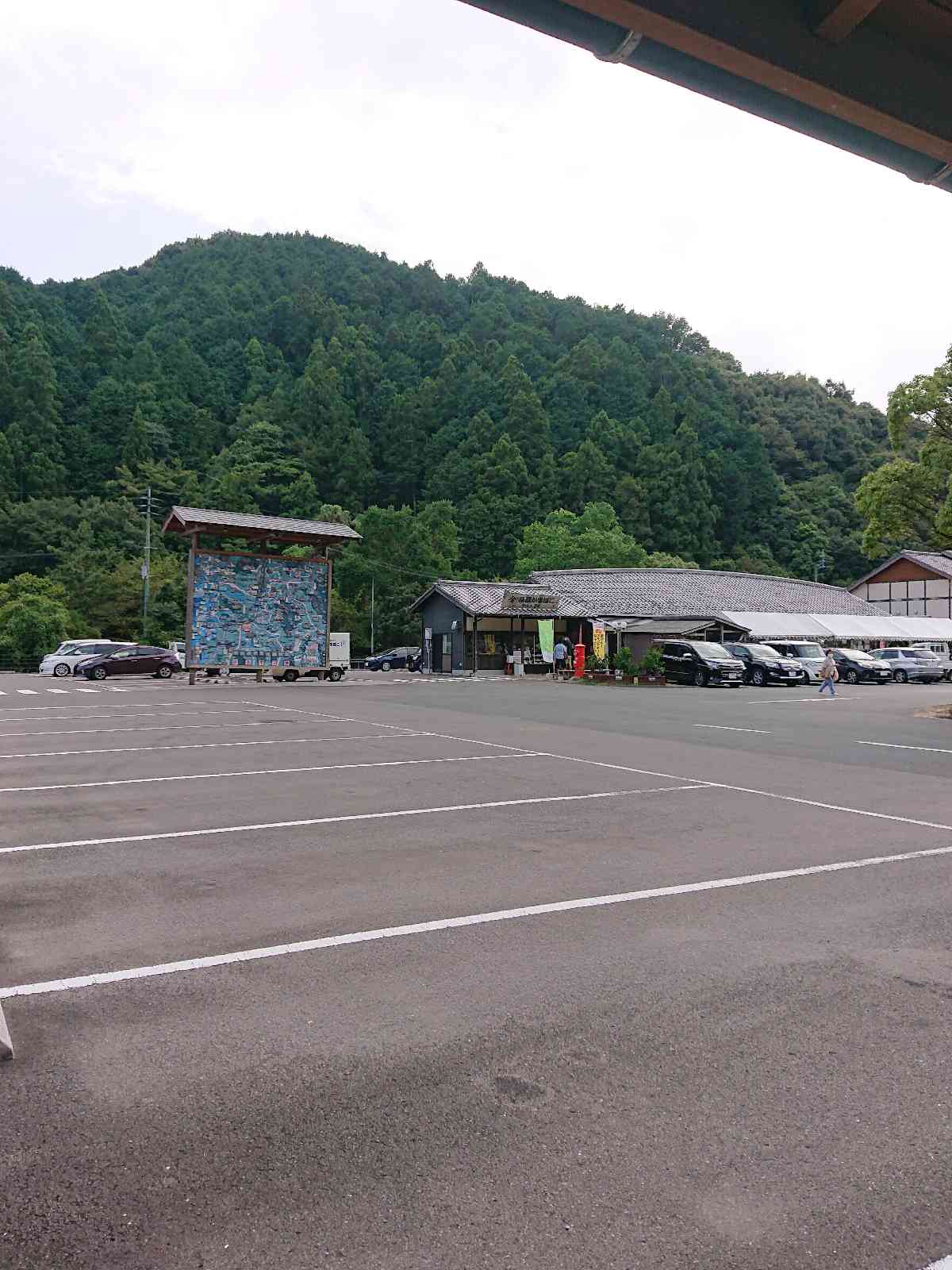 投稿された画像