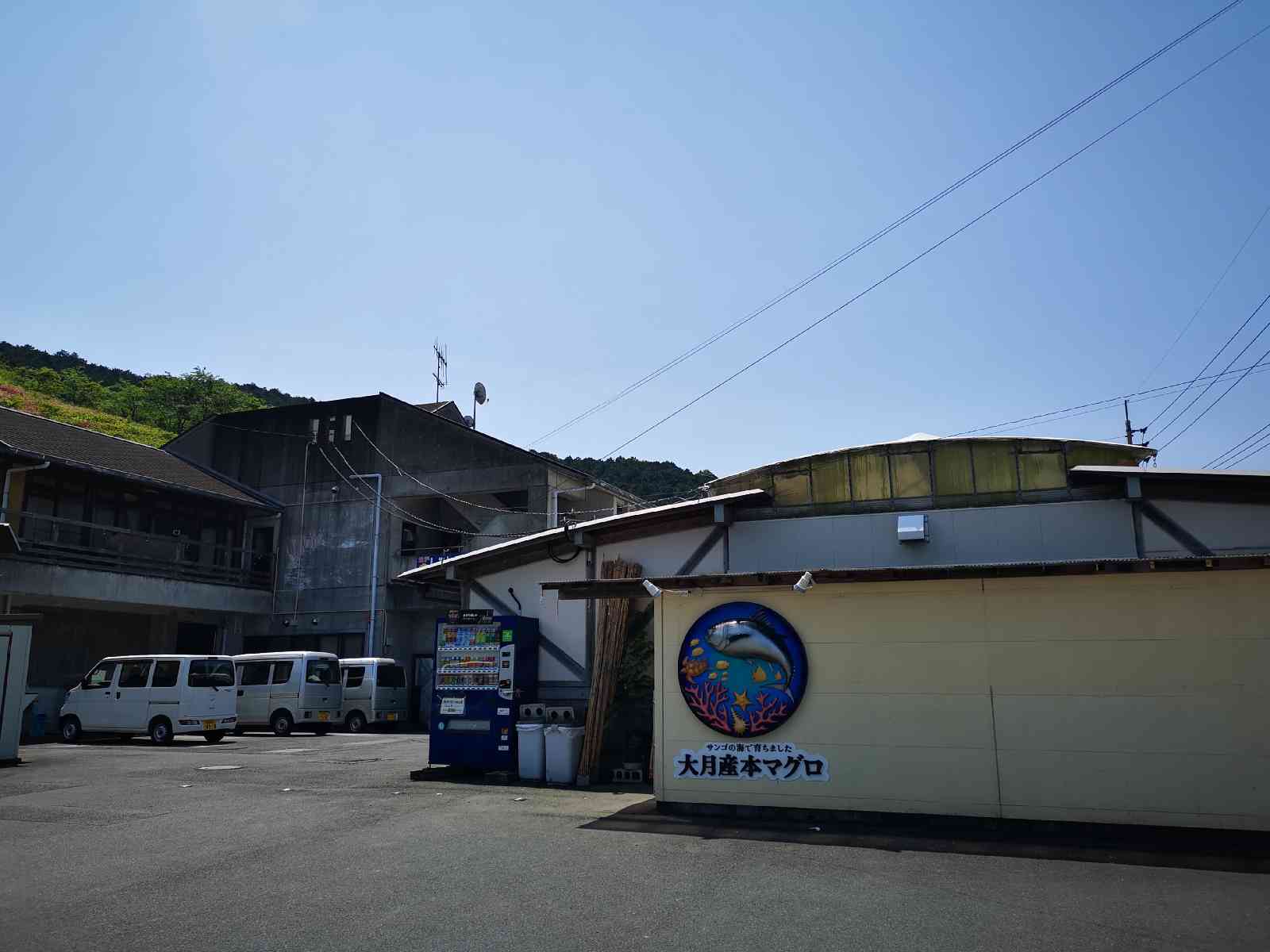 投稿された画像