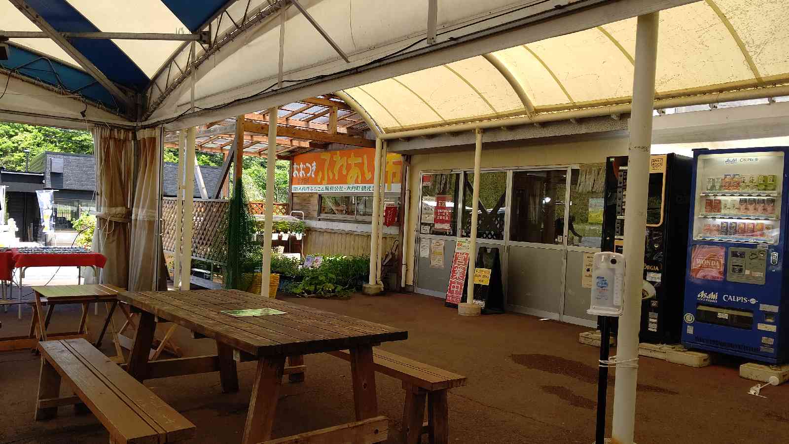 投稿された画像