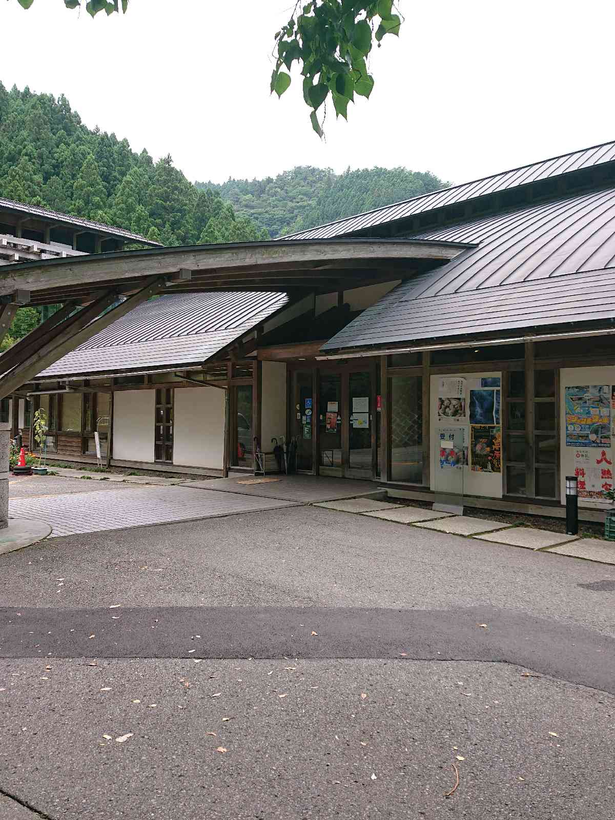 投稿された画像