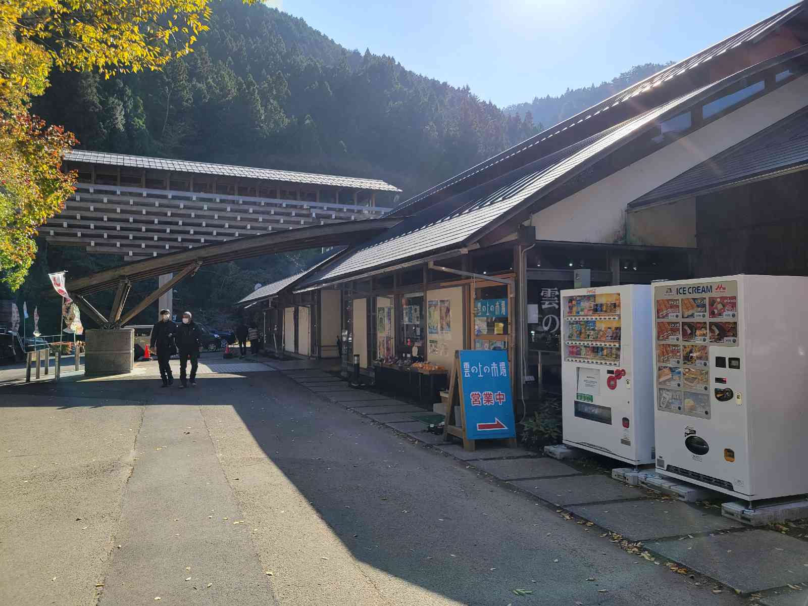 投稿された画像