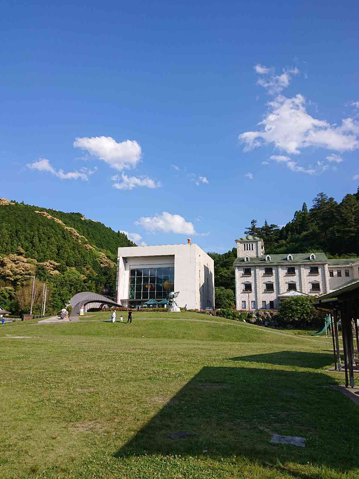投稿された画像