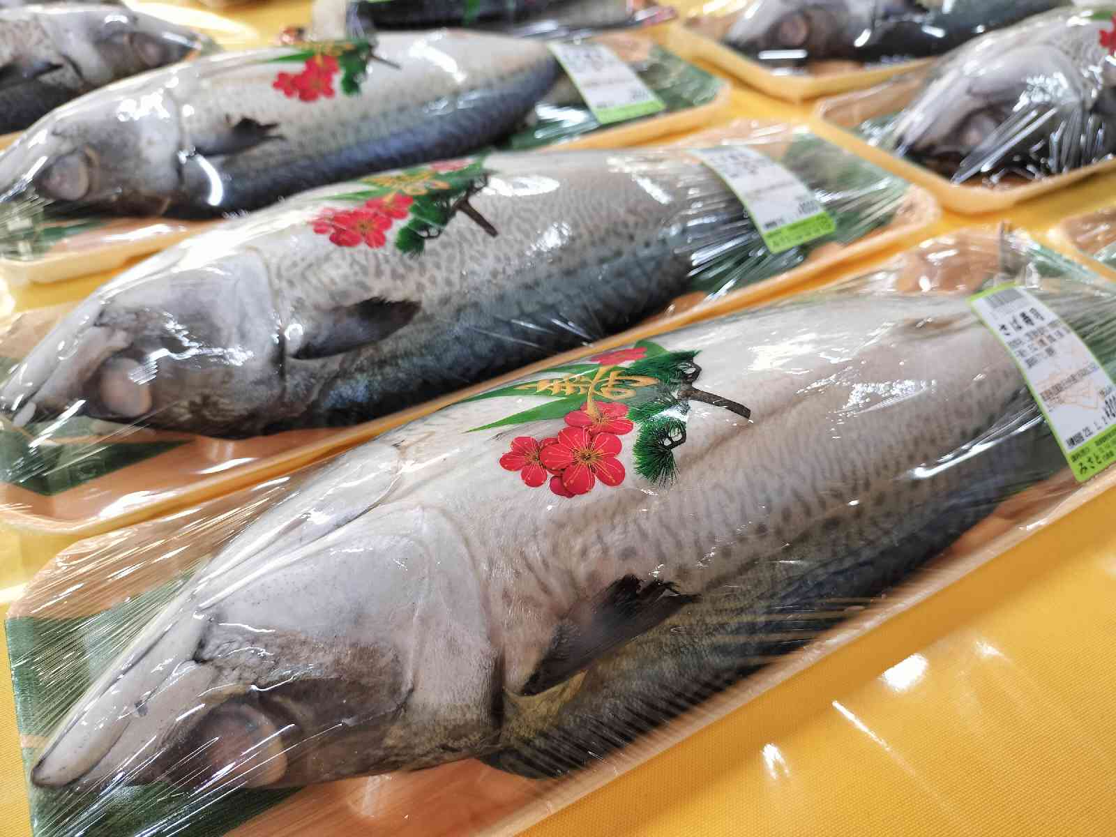 投稿された画像