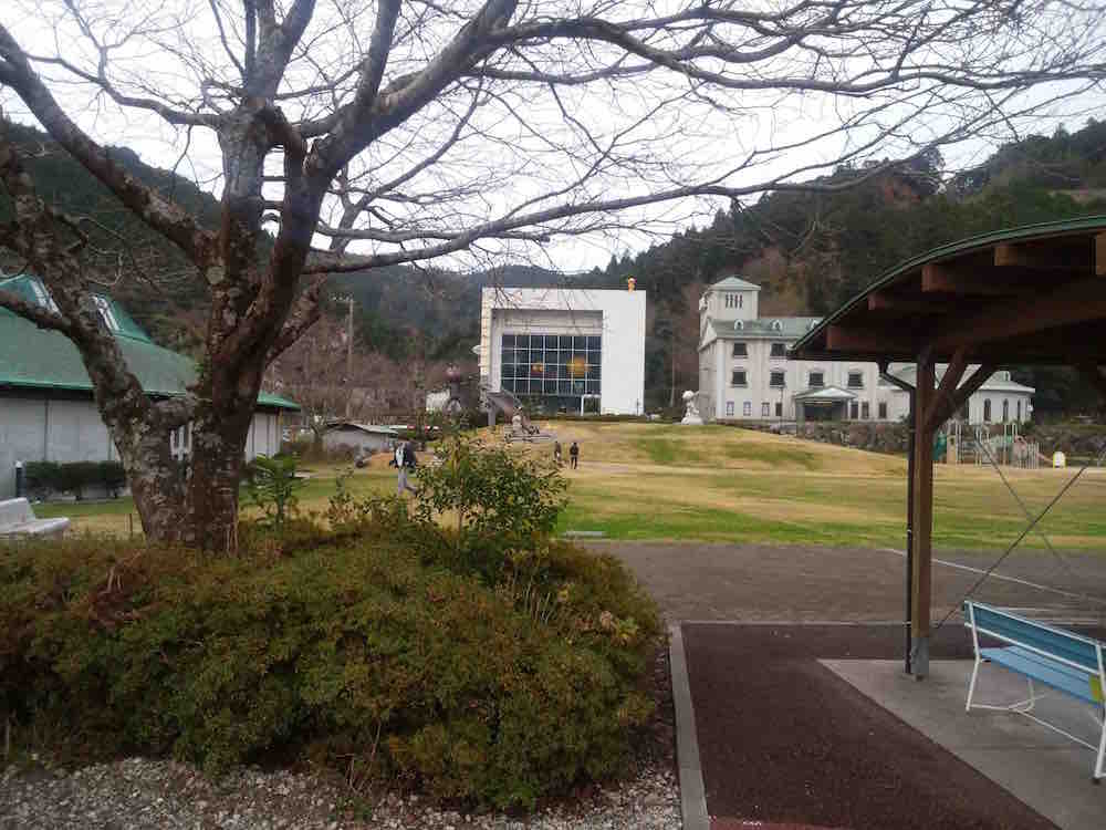 投稿された画像