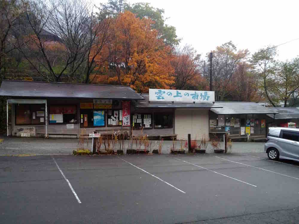 投稿された画像