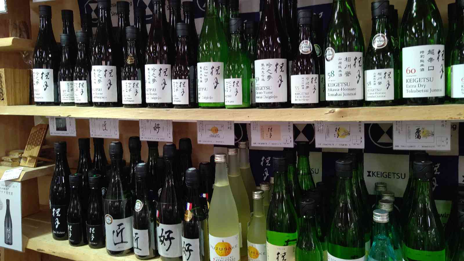 投稿された画像