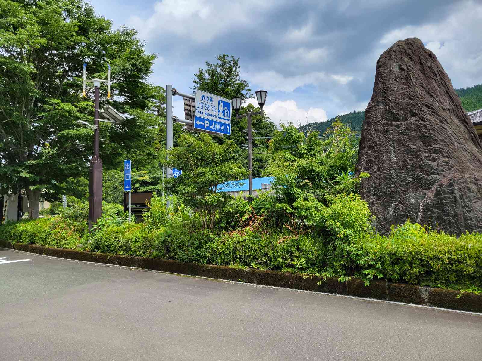投稿された画像