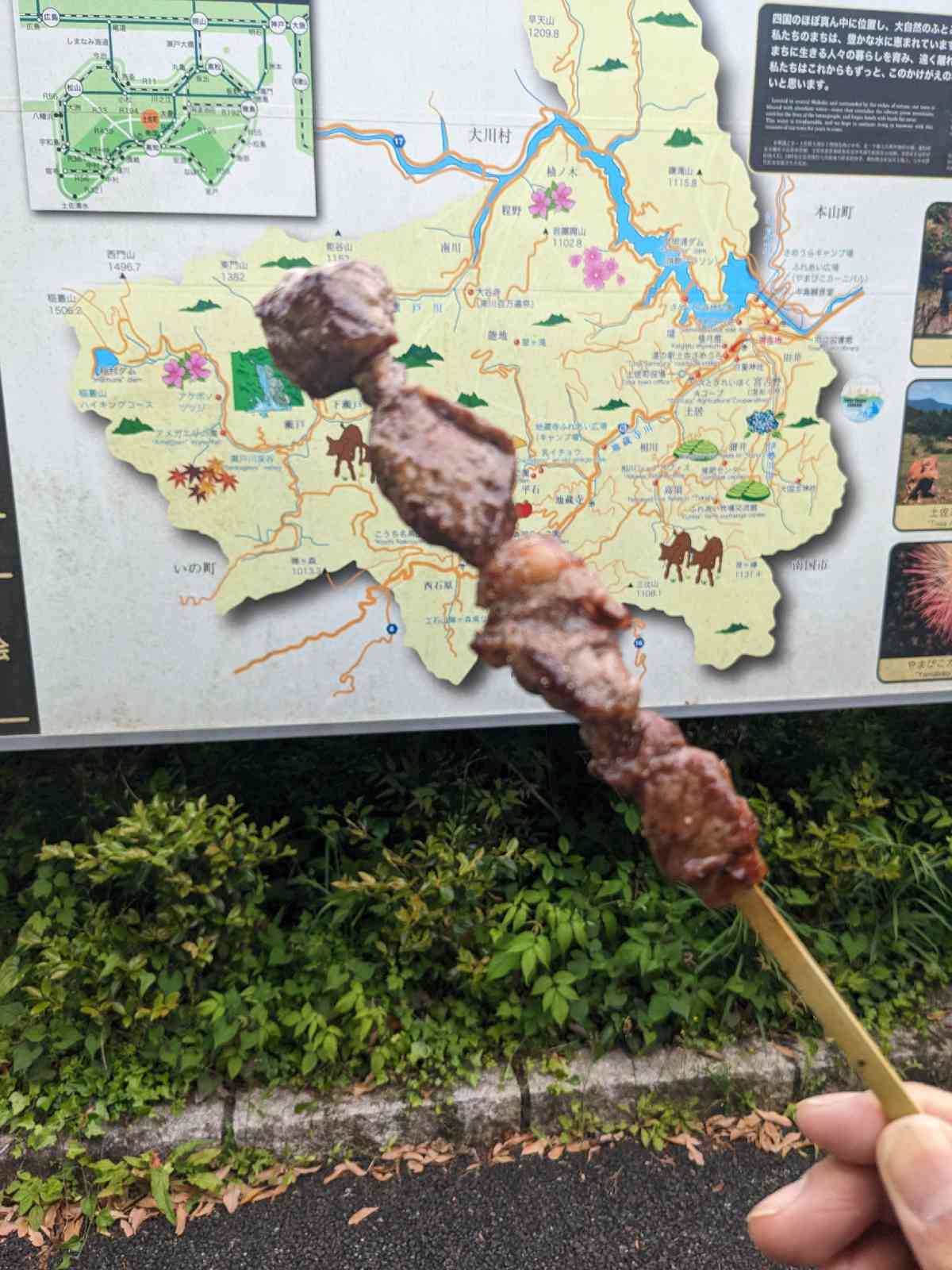 投稿された画像