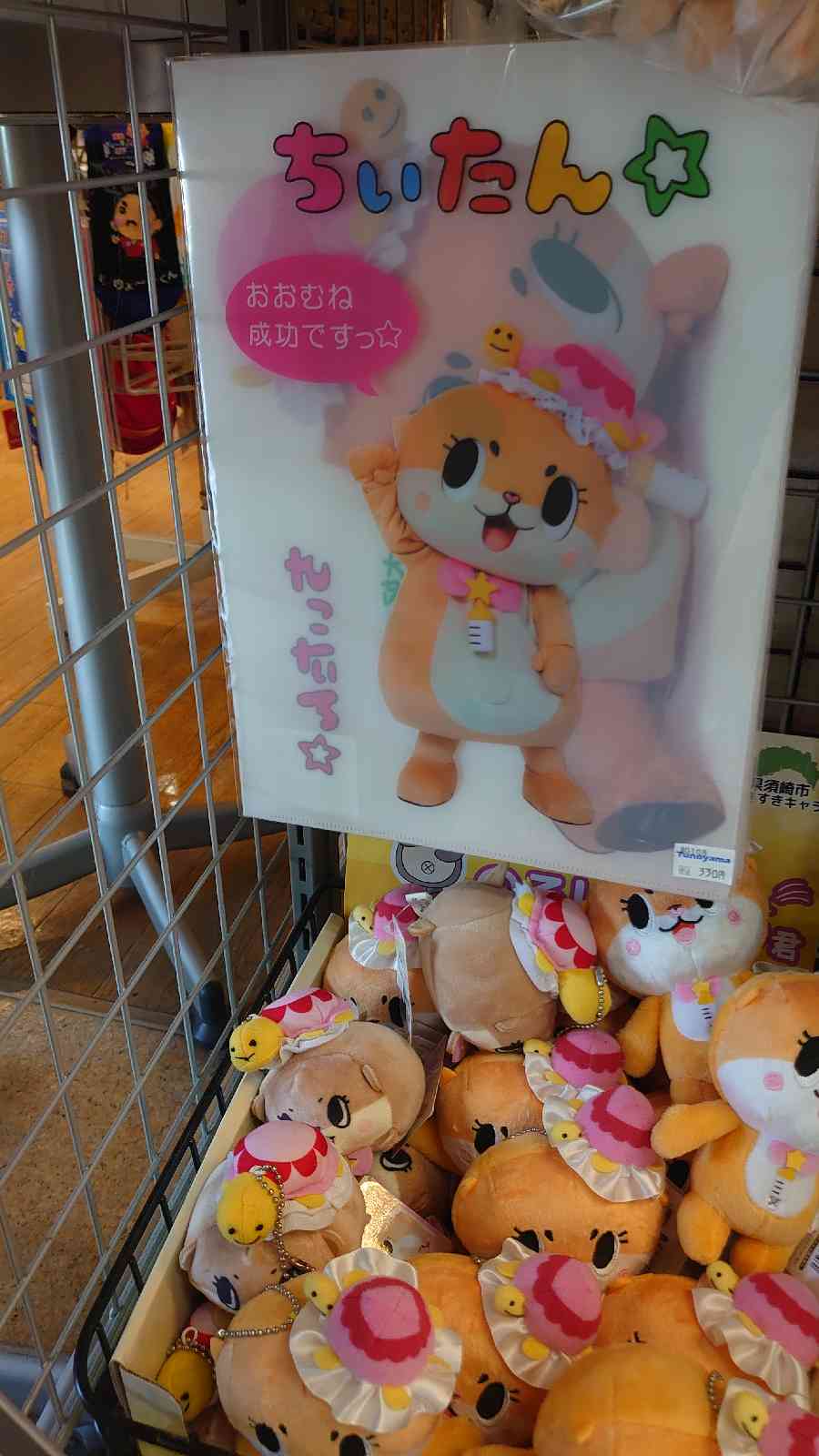 投稿された画像