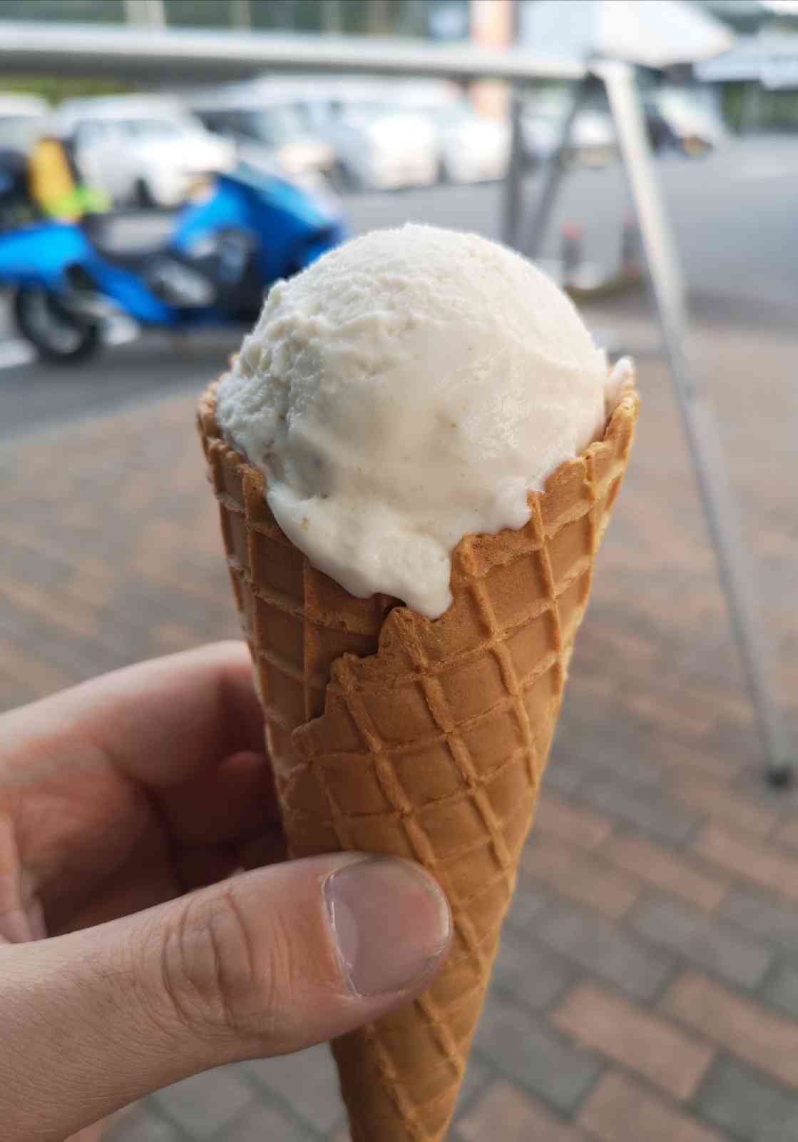 投稿された画像