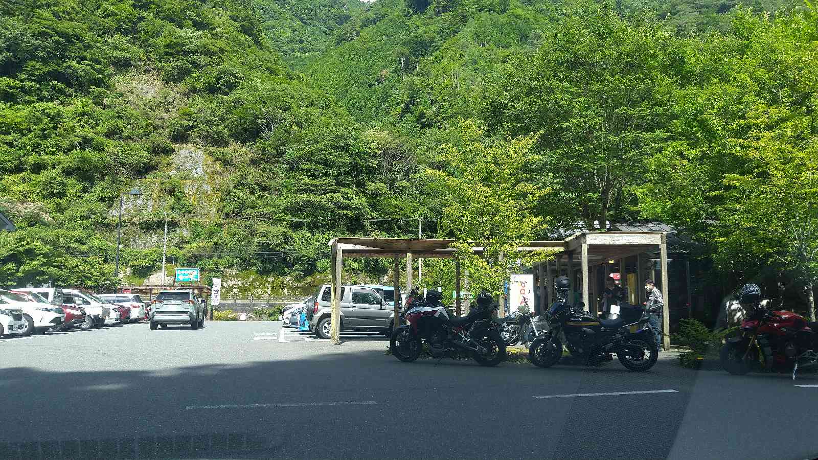 投稿された画像