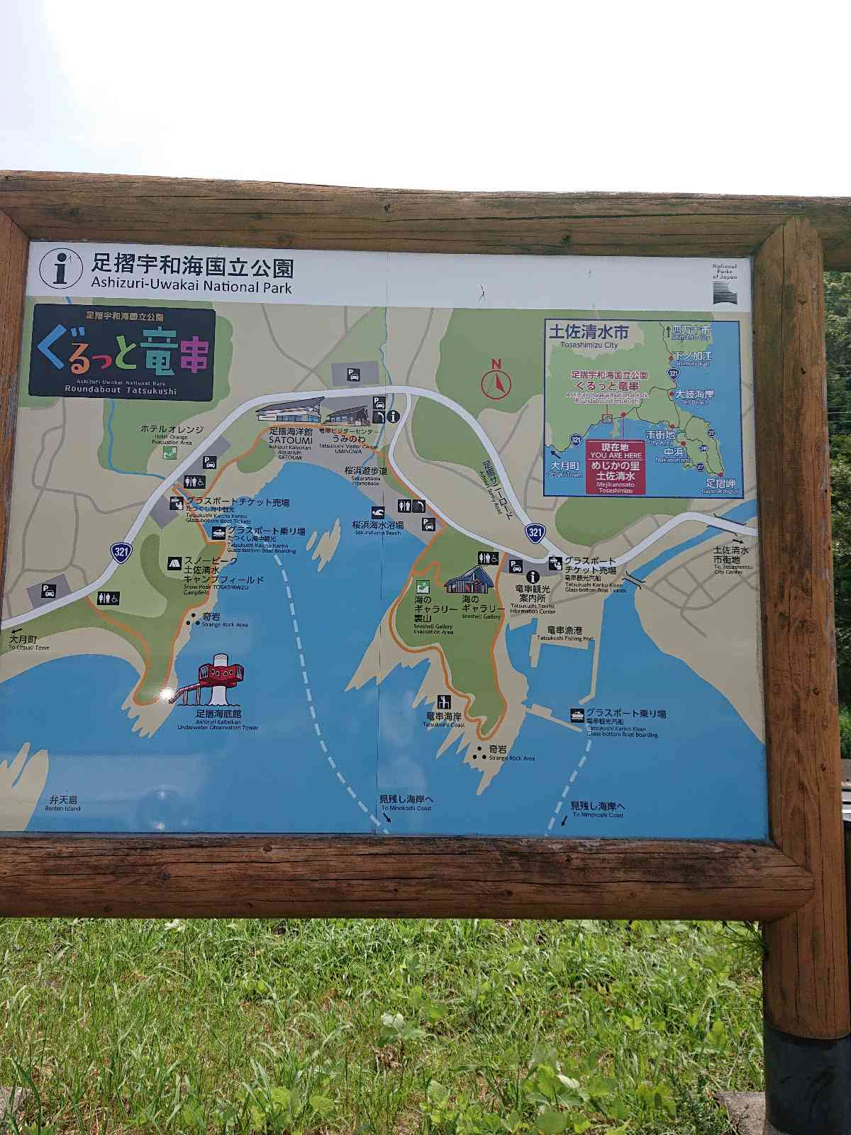 投稿された画像