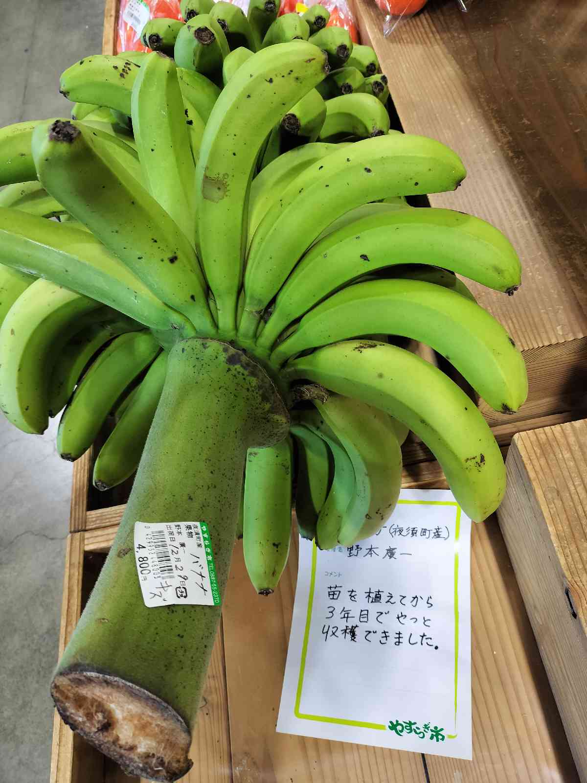 投稿された画像