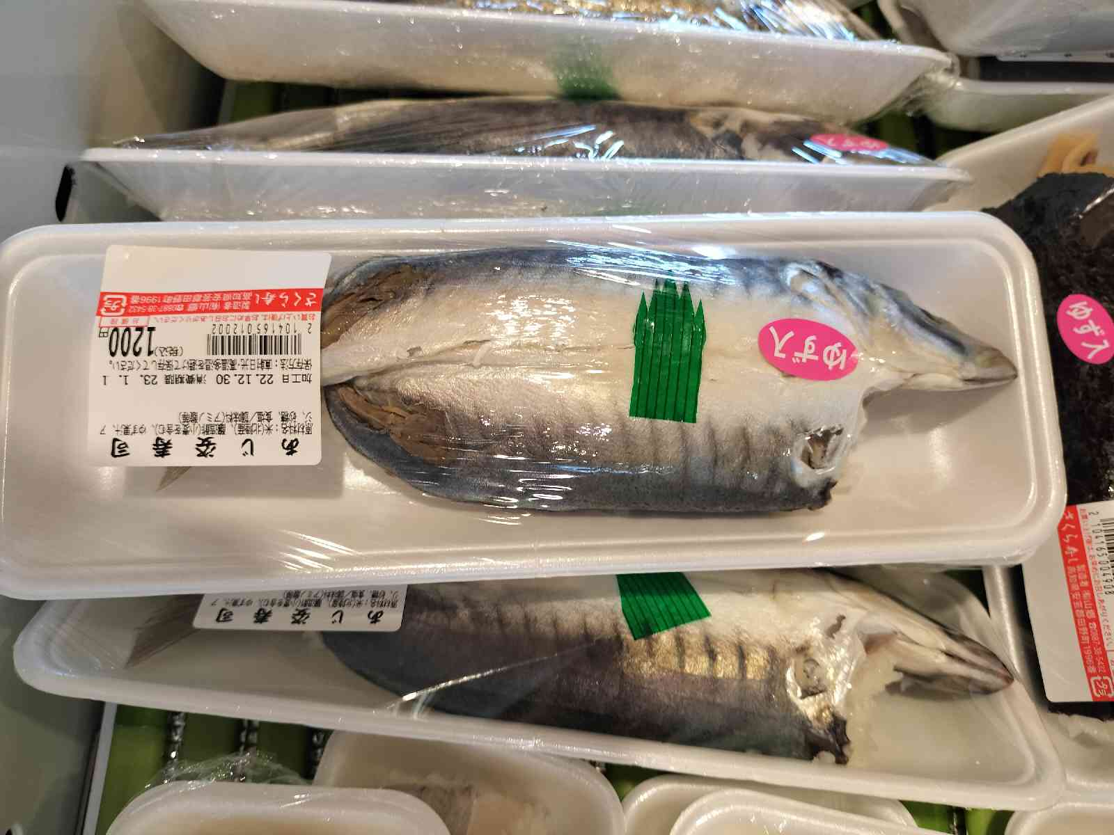 投稿された画像