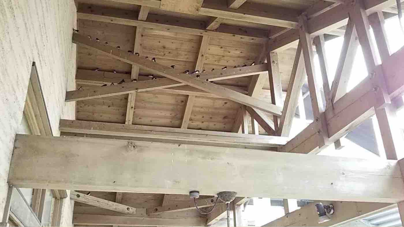 投稿された画像